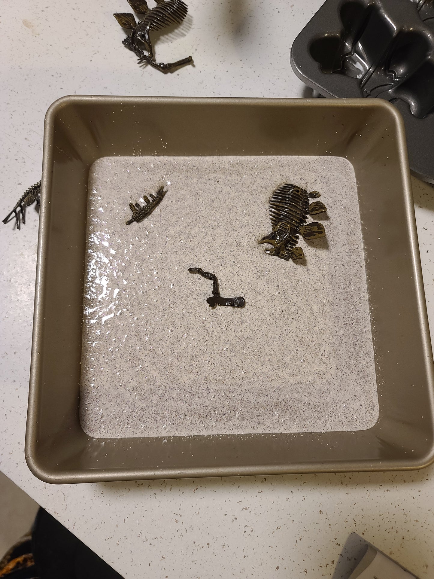 Family Dinosaur Fossil Model Kit