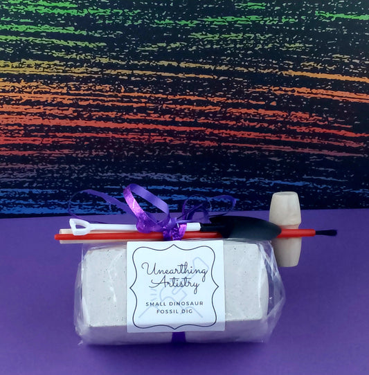 Small Dinosaur Fossil Kit