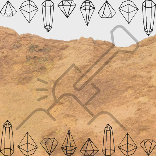 Large Fossil Kit