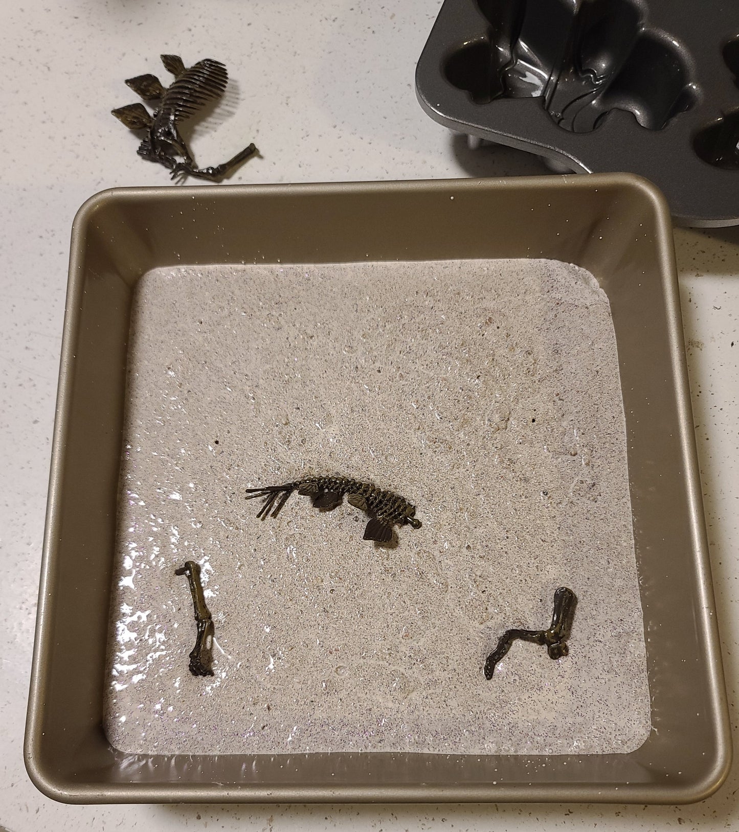 Family Dinosaur Fossil Model Kit