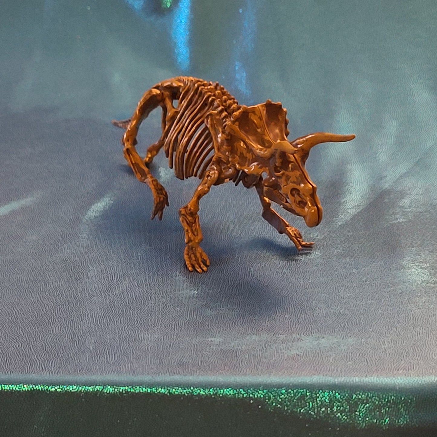 Family Dinosaur Fossil Model Kit