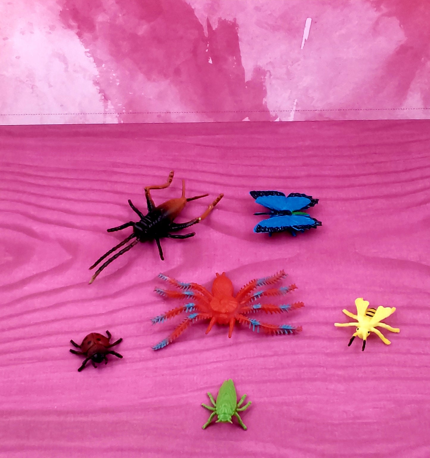Small Insect Kit